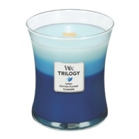  Luxury WoodWick Candles and WoodWick Car Scents
