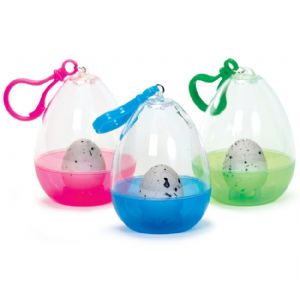 Grow your own chick hatching egg fun Easter Gift at TAOS Gifts